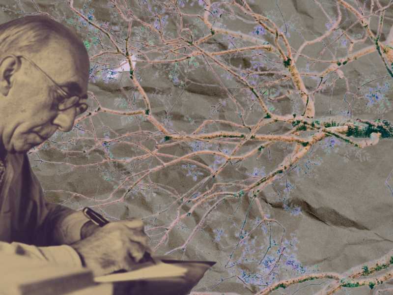 In libreria, grazie all’editore Il Ponte del Sale, “Il mio nome sul vento. Poesie 1908-1976” (grafica di Giovanni Battistuzzi) <br />
