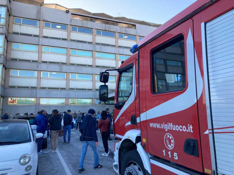 Foto di Marina Verdenelli, via Ansa&nbsp;<br />