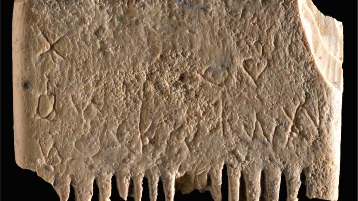 Immagine di In un pettine le origini dell'alfabeto