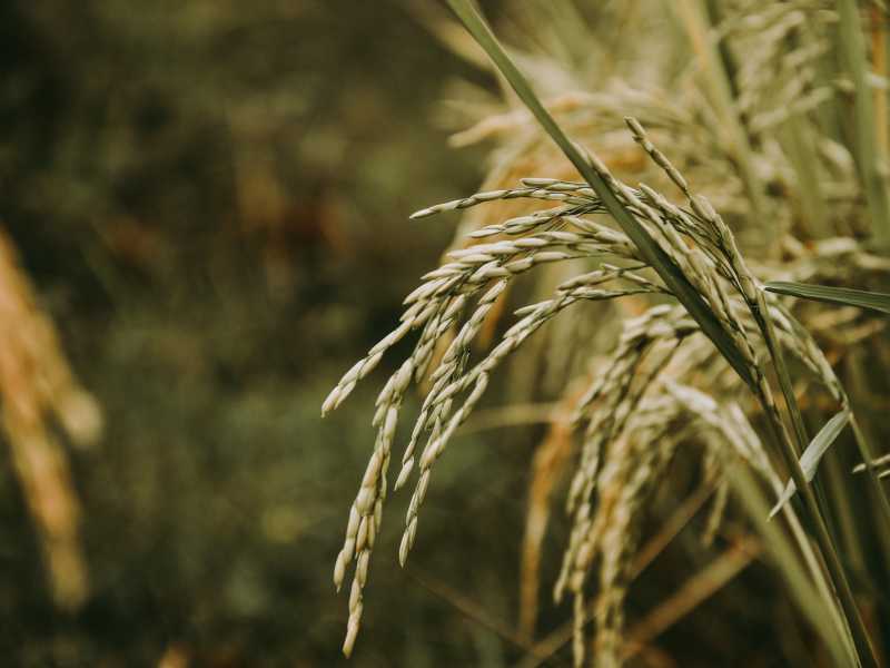 Sandy Ravaloniaina (via Unsplash)&nbsp;<br />