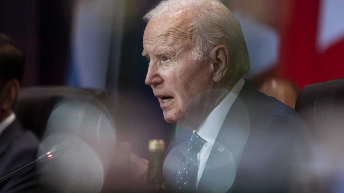 Immagine di Un argine chiamato Biden