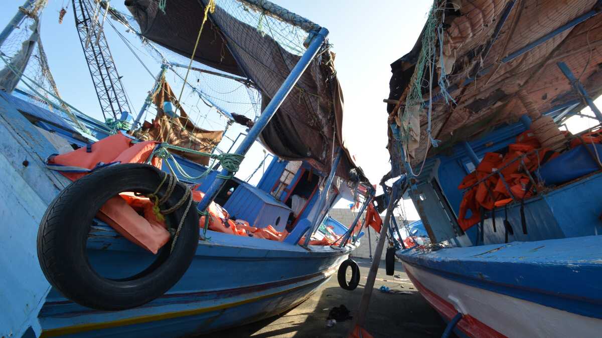 Immagine di Un nuovo record di assurdità nel dibattito sull'immigrazione