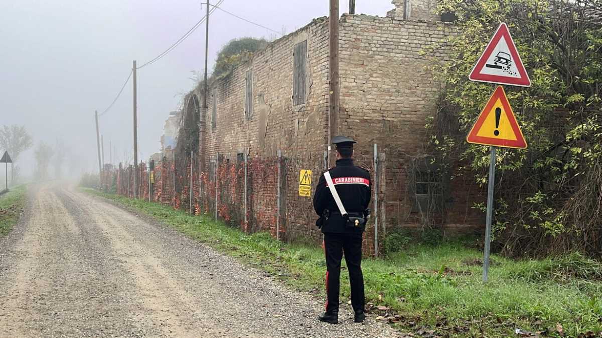 Immagine di Cosa sappiamo sul ritrovamento del corpo di Saman Abbas