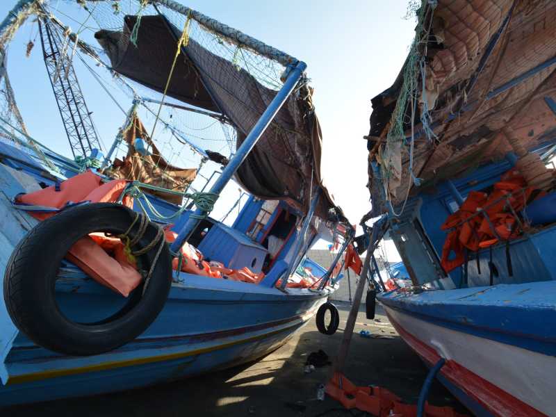 Un nuovo record di assurdità nel dibattito sull'immigrazione