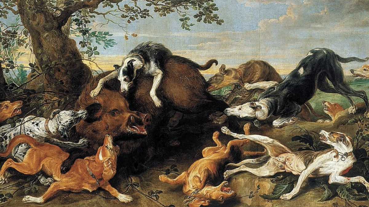 Immagine di Fare il guardone della caccia al cinghiale? Giammai!