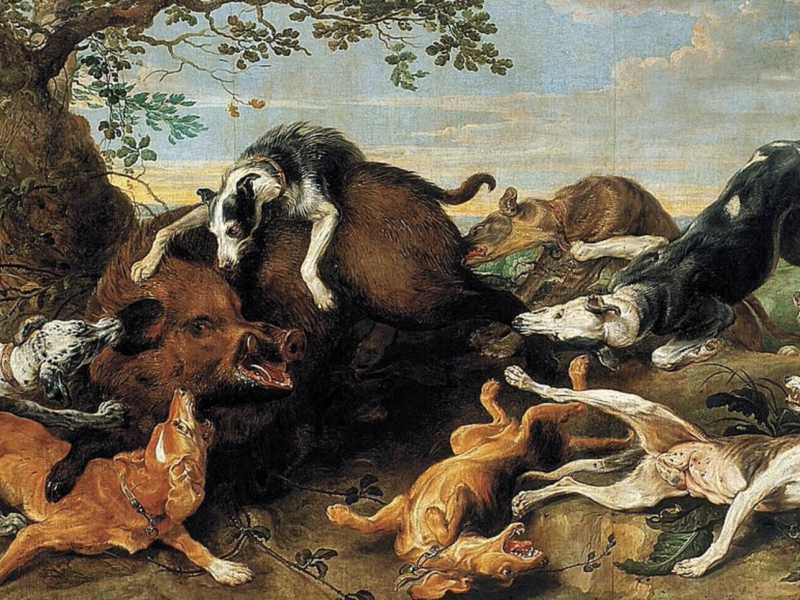 Frans Snyders, "Caccia al cinghiale" (Wikipedia)&nbsp;<br />
