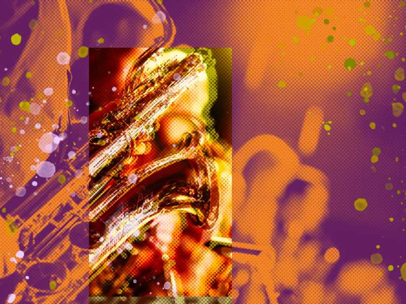 Elaborazione grafica di Enrico Cicchetti