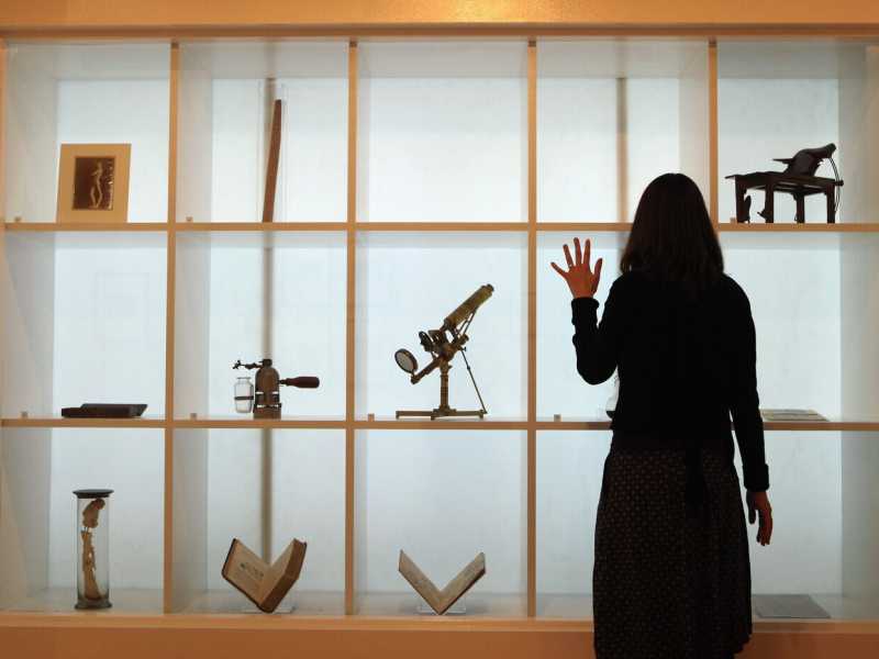Una mostra della Wellcome Collection del 2011 (foto di Oli Scarff/Getty Images) <br />