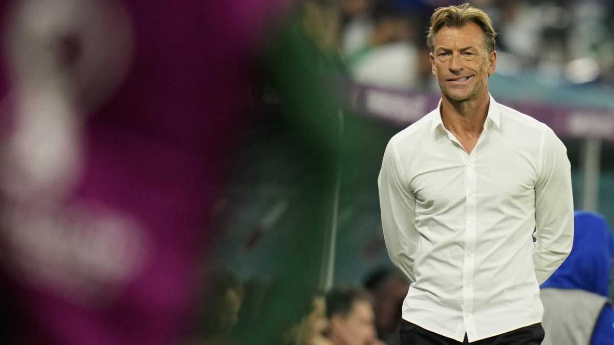 Immagine di L'educazione ciclistica di Hervé Renard