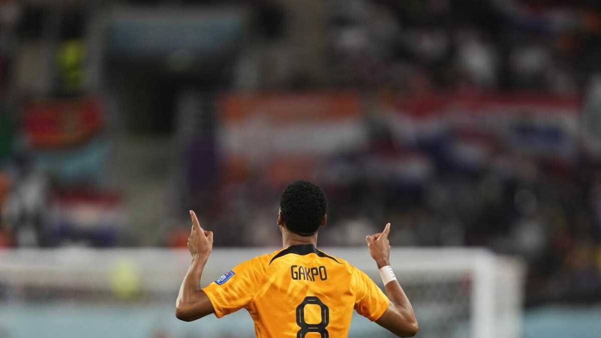 Immagine di La razionalità di Cody Gakpo