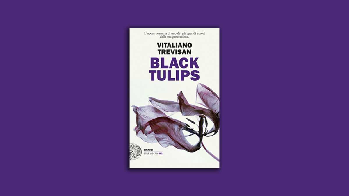 Immagine di Black Tulips