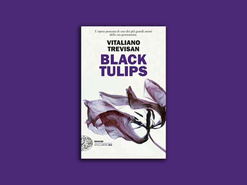 Black Tulips