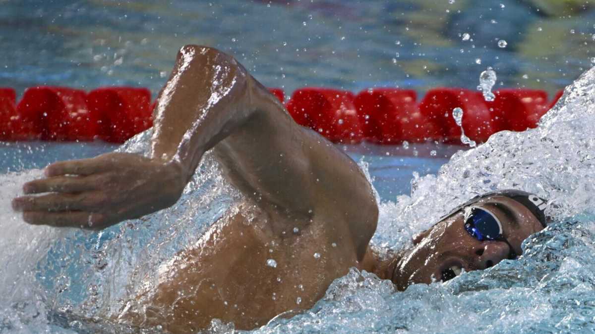 Immagine di In vasca corta è un altro nuotare, ma Gregorio Paltrinieri è sempre campione del mondo