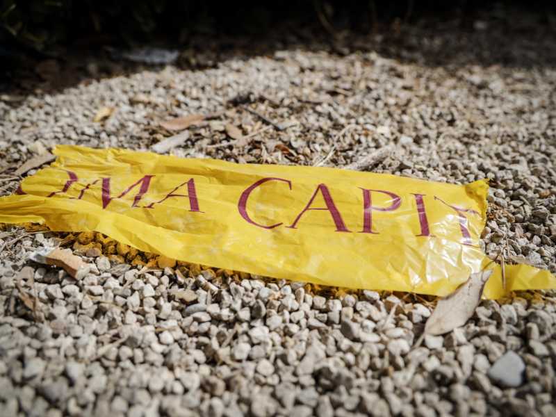 Foto di Giuseppe Lami, via Ansa <br />