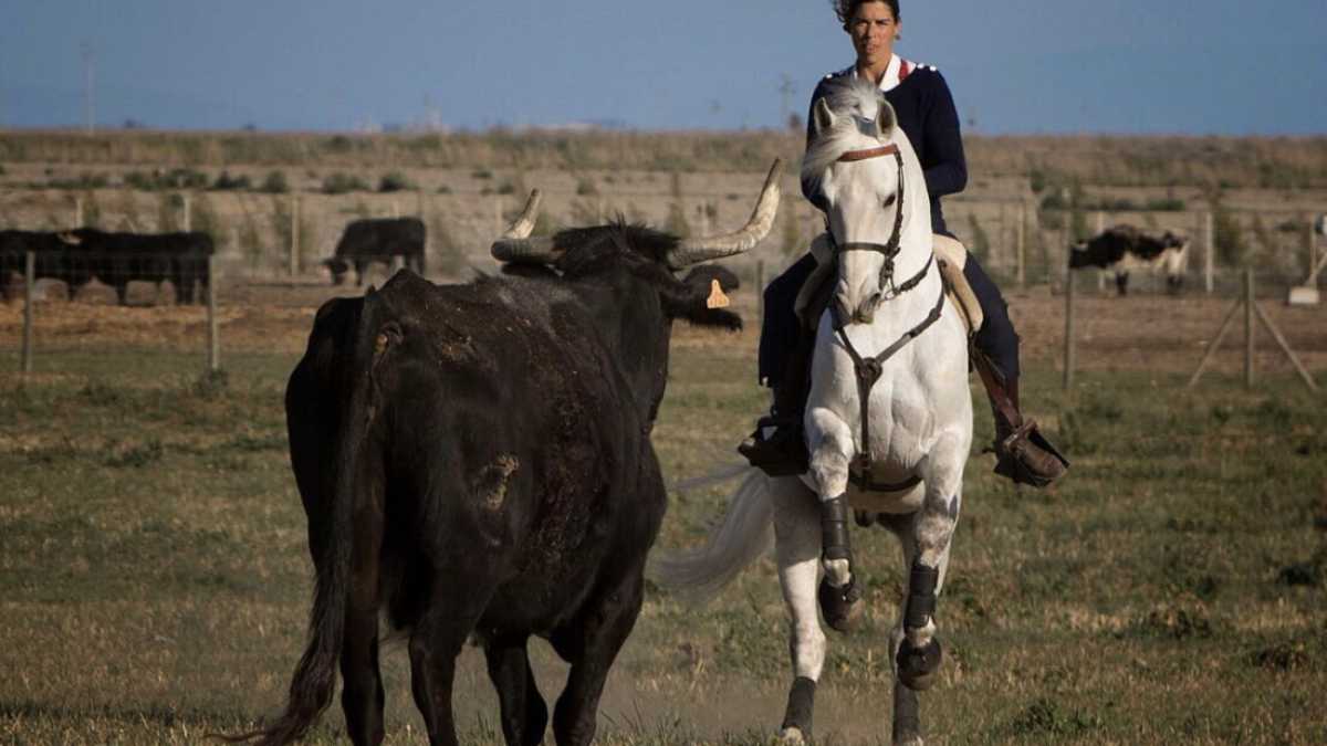 Immagine di Il riposo del torero