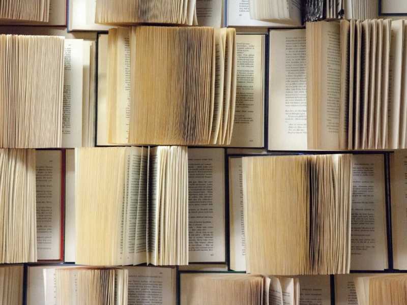I migliori libri del 2022 per Nordio, Calenda, Fontana, Conte, Gentiloni, Mantovano, Letta e Bonaccini