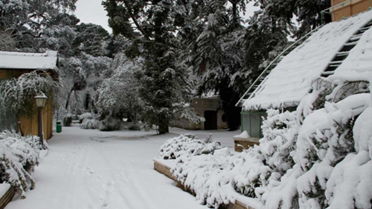 Immagine di Cosa fare a Roma a Natale. Museo delle illusioni, Orto botanico e Christmas World