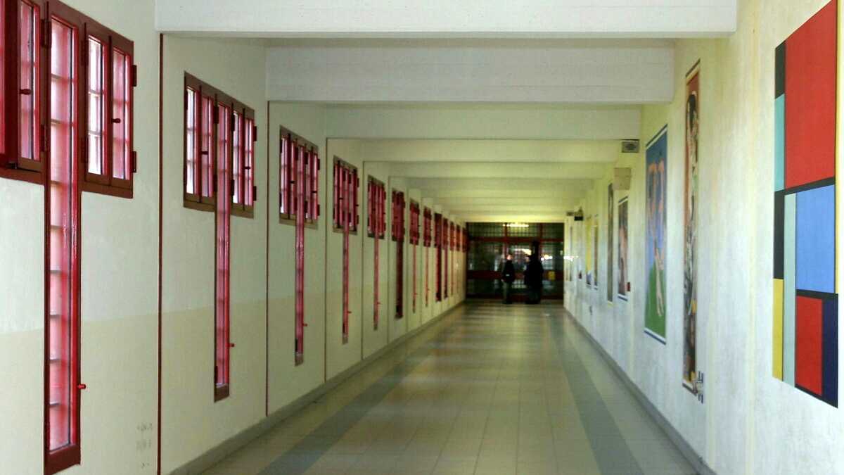 Immagine di Lavorare in carcere onorando la Costituzione. L’idea di Nicola Boscoletto al Due Palazzi di Padova