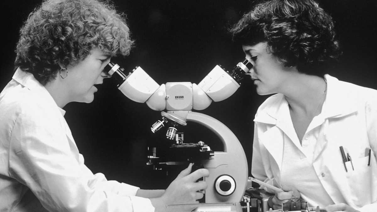 Immagine di Un 2022 di finti articoli scientifici: una frode su scala industriale