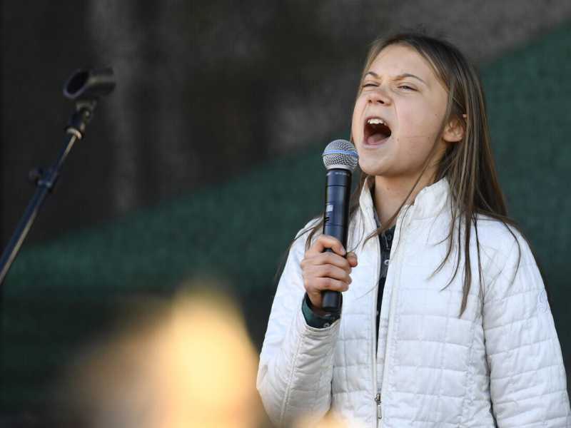 Greta Thunberg (Ansa)