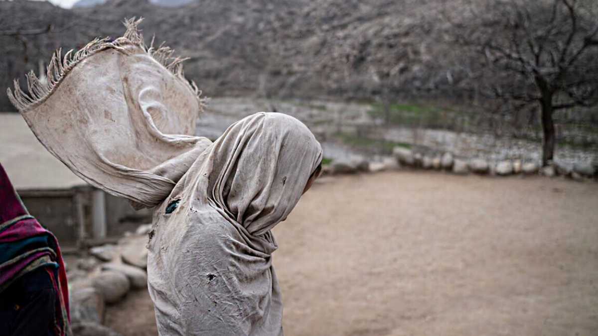 Immagine di Lavorare in Afghanistan nonostante l'editto dei talebani. Il racconto di Nove onlus