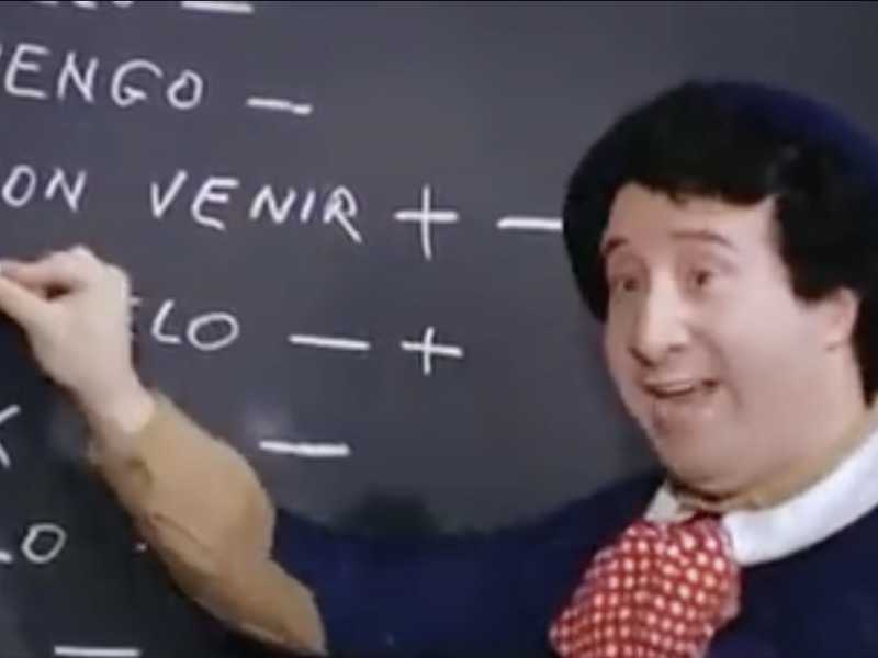 Più che tutelare la lingua italiana servirebbe impararla