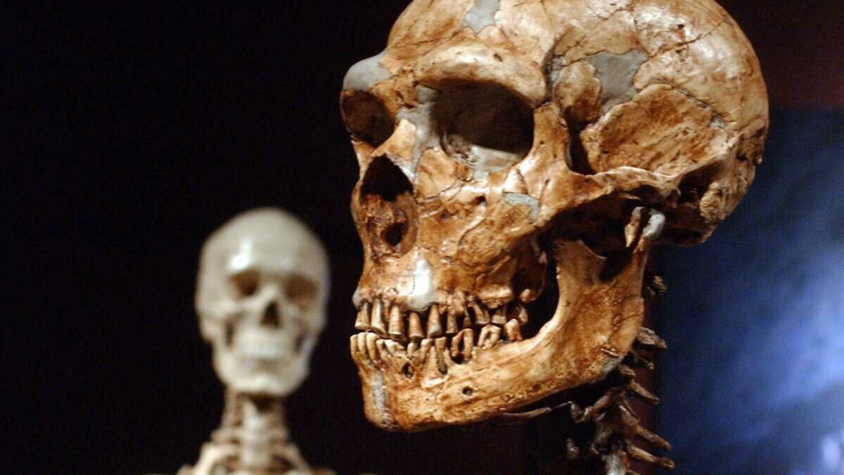 Immagine di Come il “Neanderthal che c'è in noi” influenza i nostri tratti neuropsichiatrici