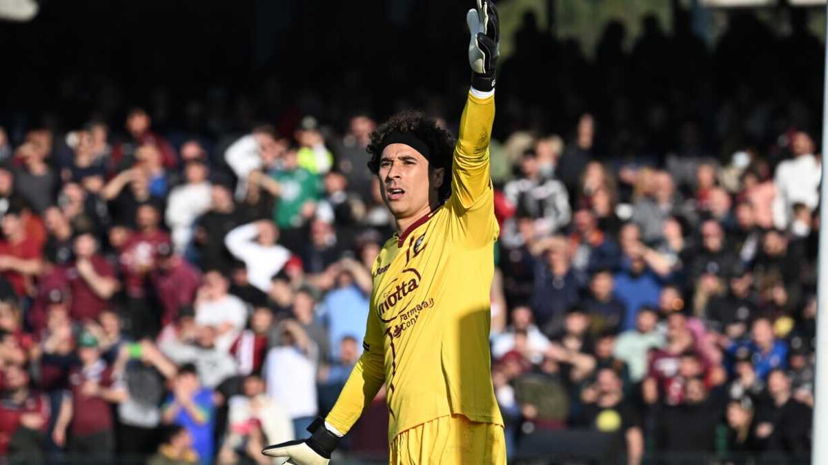 Immagine di Ochoa, il polpogatto che sfida ogni pregiudizio