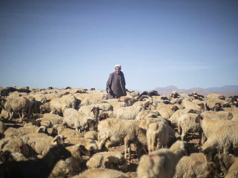 Foto di Mosa'ab Elshamy, AP Photo, via LaPresse&nbsp;<br />