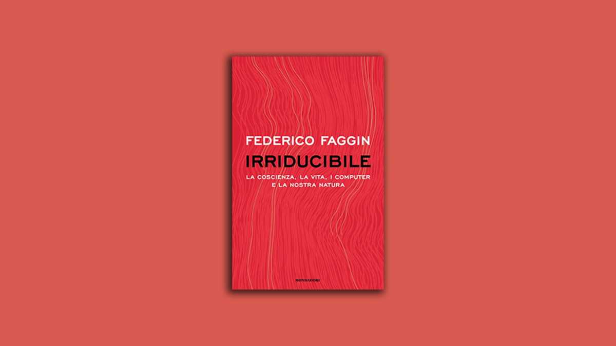 Immagine di Irriducibile