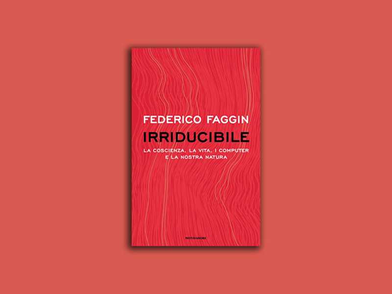 Irriducibile