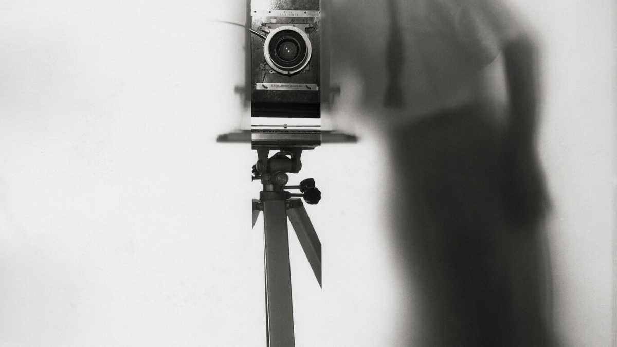 Immagine di Le belle e le bestie. Gli scatti di Erwin Blumenfeld in mostra a Parigi