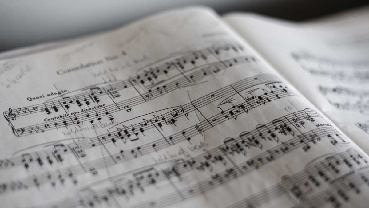 Immagine di La musica è il "collante sociale" per eccellenza. Ma perché esiste?