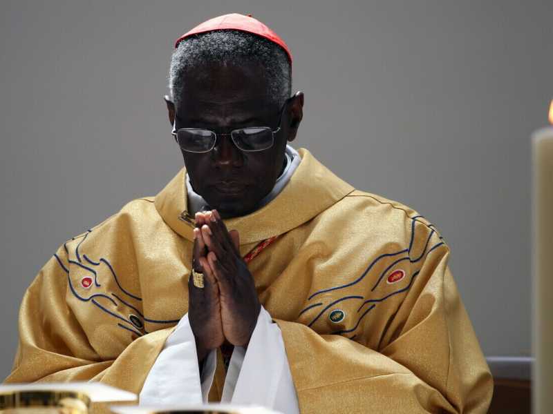 &nbsp;Il cardinale&nbsp;Robert Sarah in una foto d'archivio (Ansa)
