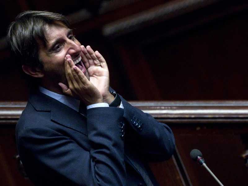 Giovanni Donzelli (Ansa)