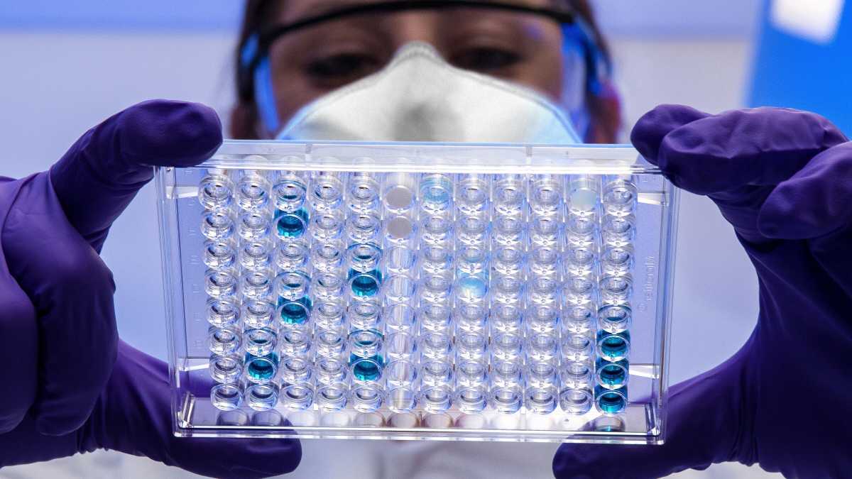 Immagine di Presto saremo in grado di creare organismi del tutto artificiali. Una nuova èra