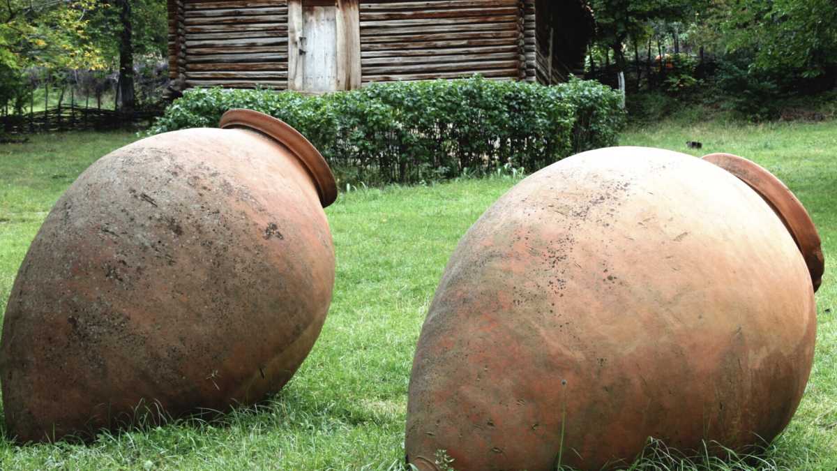 Immagine di Il vino va risacralizzato