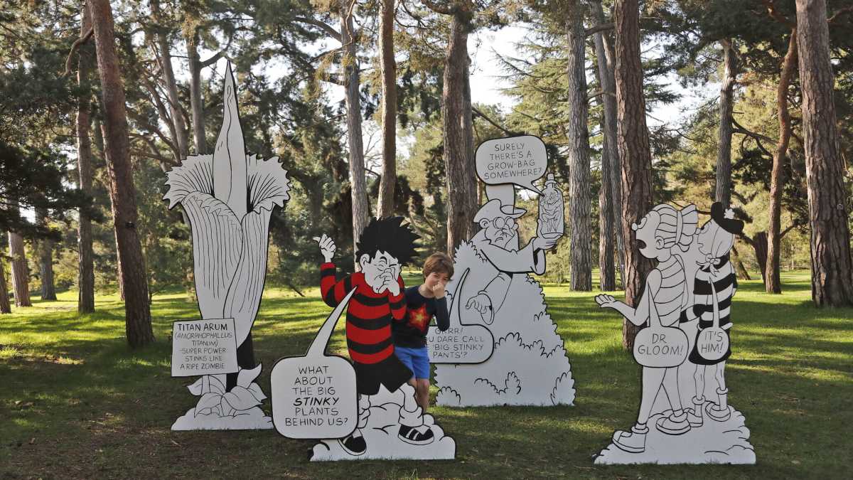 Immagine di "Informazione alimentare irresponsabile": le accuse al più antico settimanale a fumetti del mondo