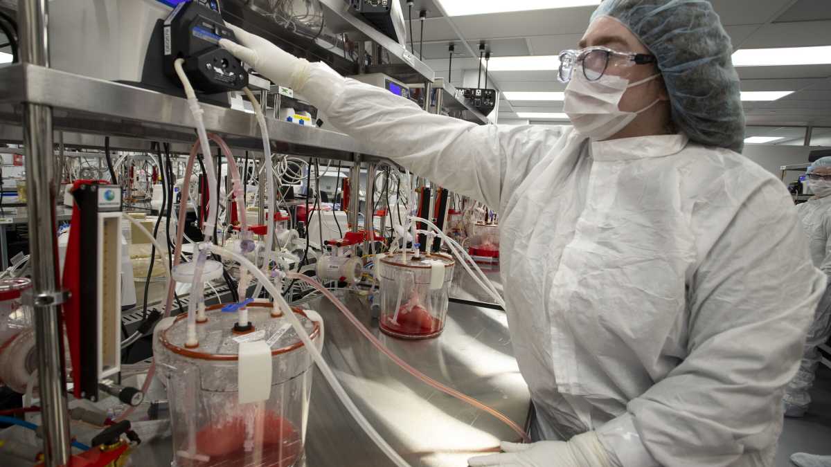 Immagine di Il laboratorio dei veleni, la disinformatja da Andropov a Putin