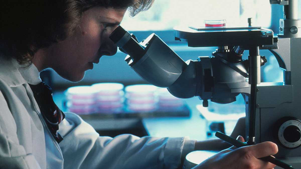 Immagine di In difesa del riduzionismo scientifico e delle definizioni che spiegano la natura