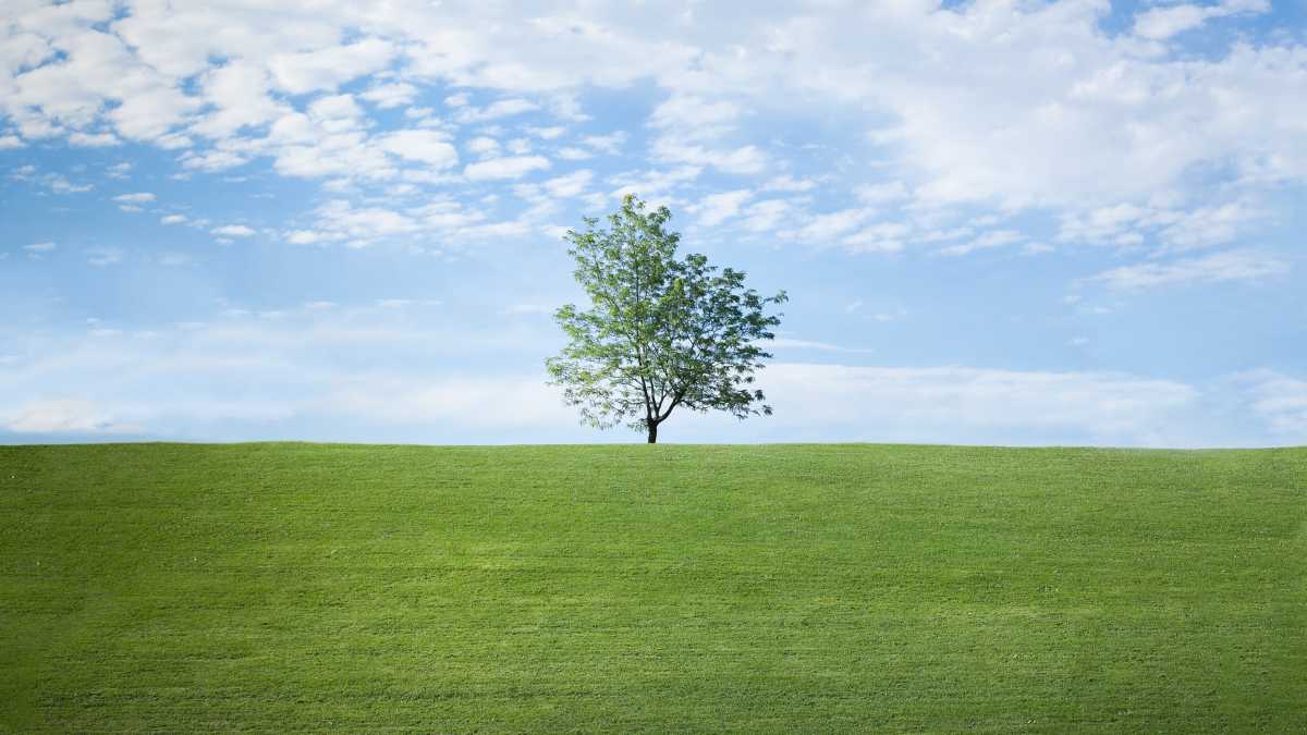 Immagine di In campagna con la fiaba in mano