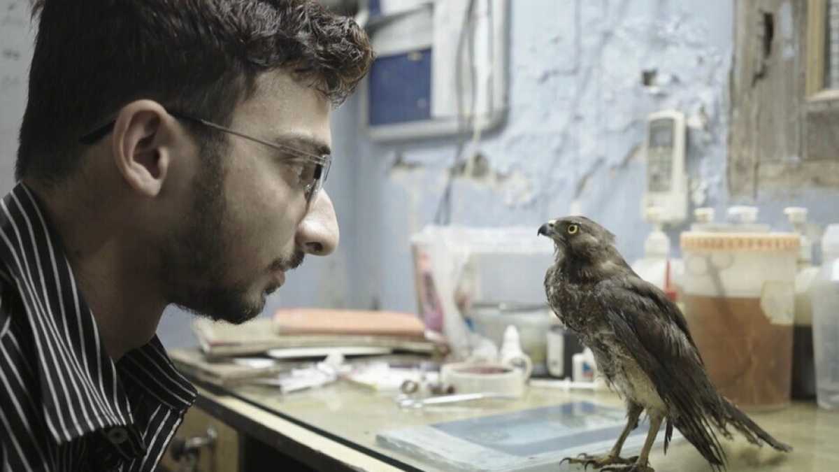 Immagine di I documentari conquistano i palinsesti, sono troppi e pure un po’ truccati