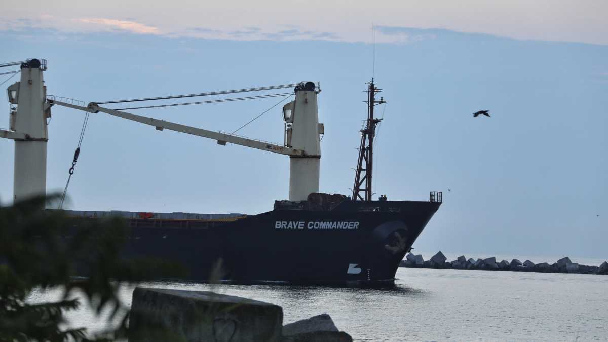Immagine di I viaggi per mare di Vladimir K. e della sua grande nave-città Odessa