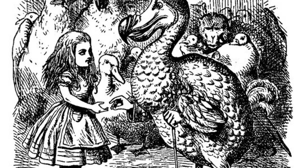 Immagine di Bentornato Dodo. Un'azienda americana vuole riportarlo in vita