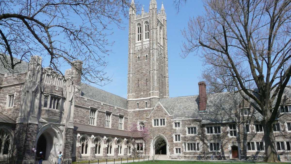 Immagine di Il verbo della “diversità” nelle università americane