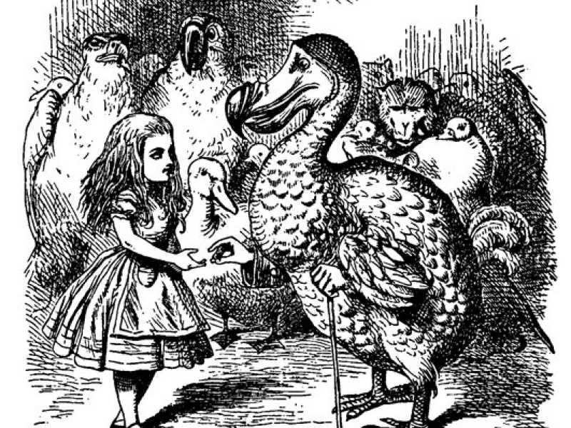 In &ldquo;Alice nel Paese delle Meraviglie&rdquo;, qui illustrato da John Tenniel (Wikipedia), il dodo compare come caricatura dello stesso autore Lewis Carroll<br />