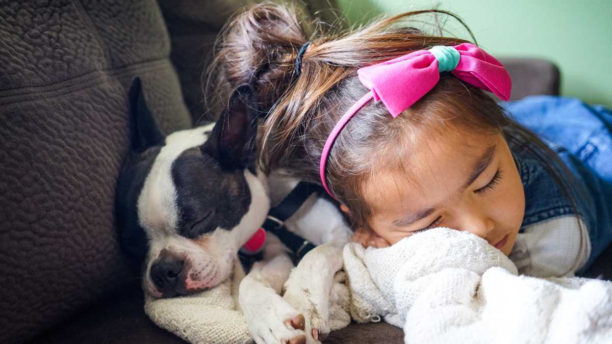 Immagine di Anche nell'evoluzione l'essere umano e il cane sono "alleati biologici". Una ricerca