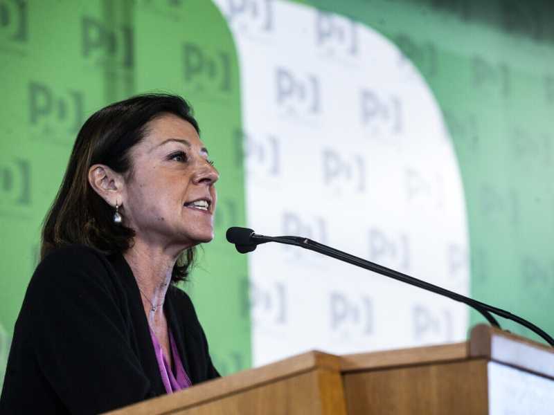 Paola De Micheli durante la Direzione nazionale Pd (Ansa)