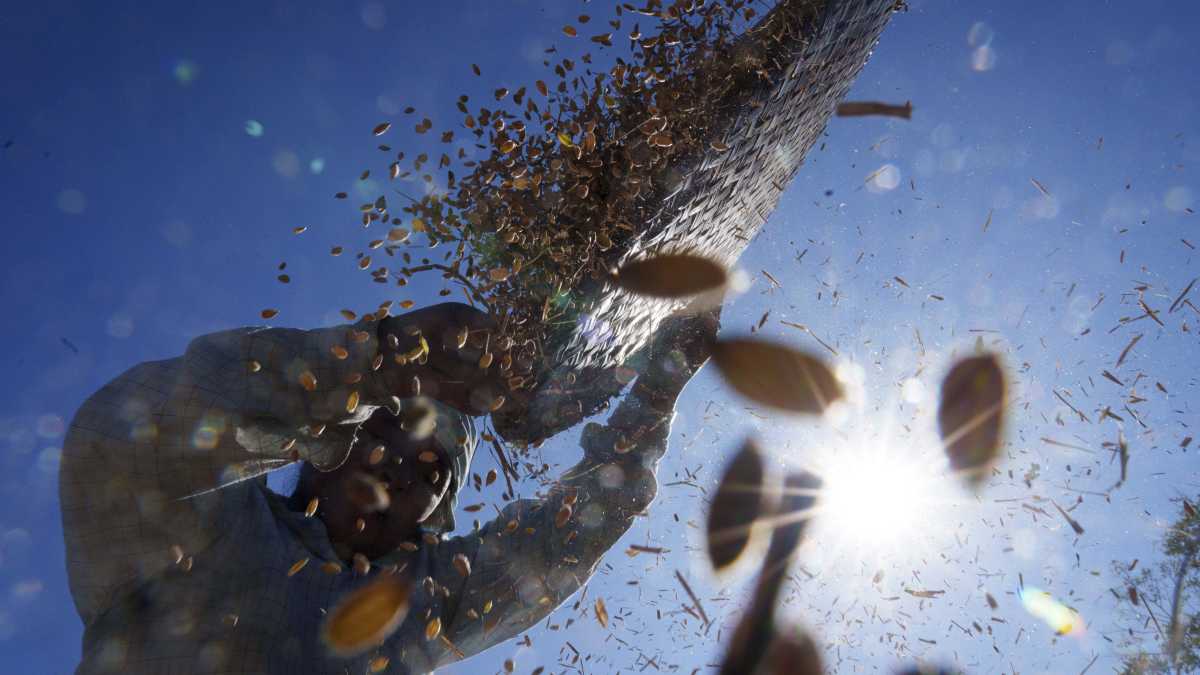 Immagine di I nemici dei combustibili fossili in una parola: affamatori