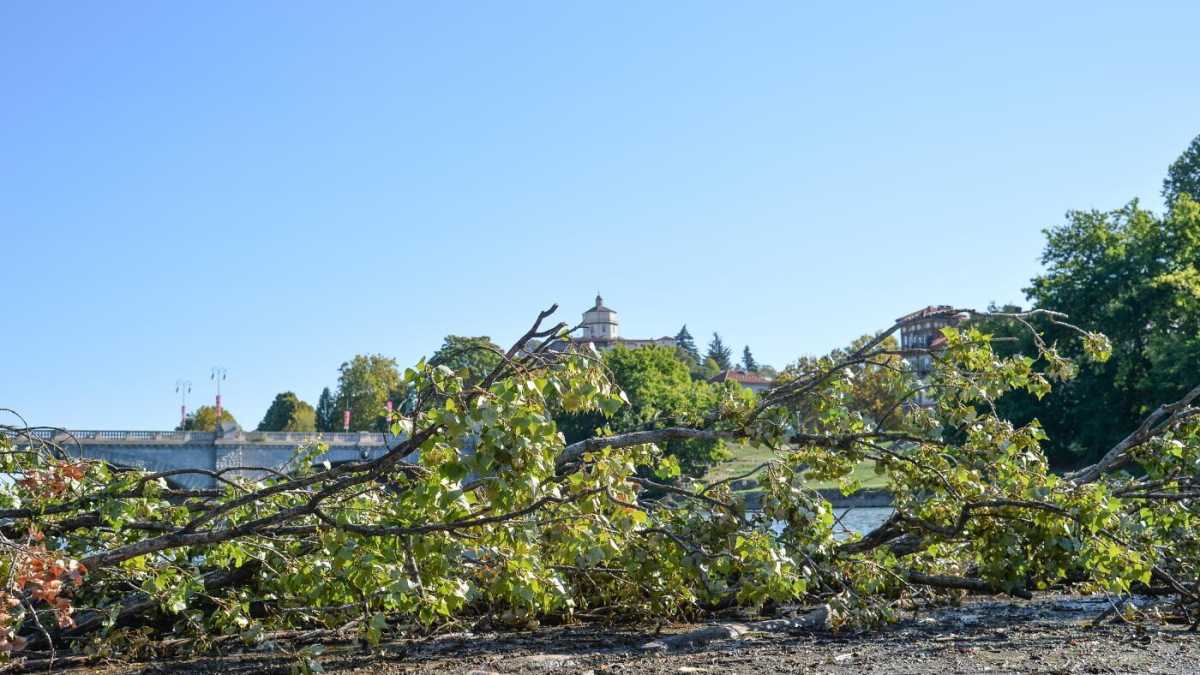 Immagine di Un anno di Costituzione “ambientalista”, il bilancio è deludente